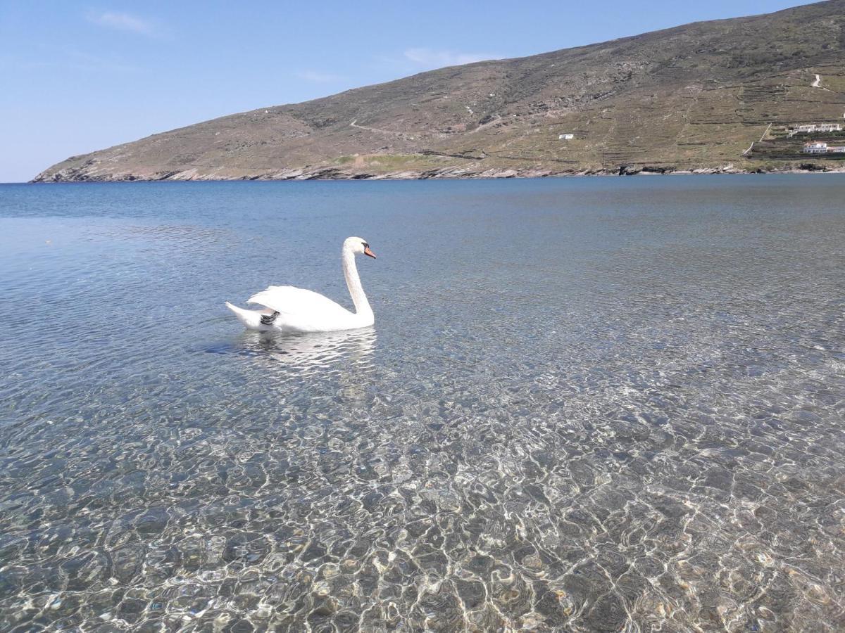 Liopi Village Andros Ormos  Esterno foto